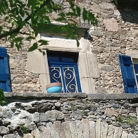 Hotel Domaine D'Angel-Berg Vezins-de-Levezou Zewnętrze zdjęcie